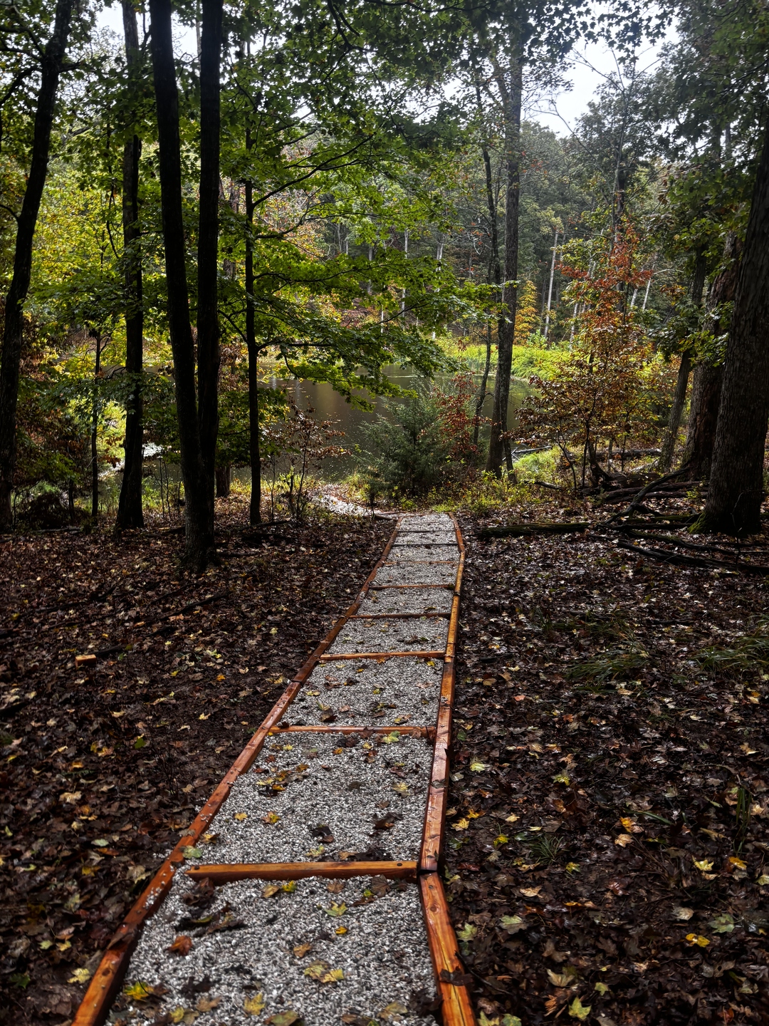 Custom gravel walkway through wooded property, Chesterfield MO